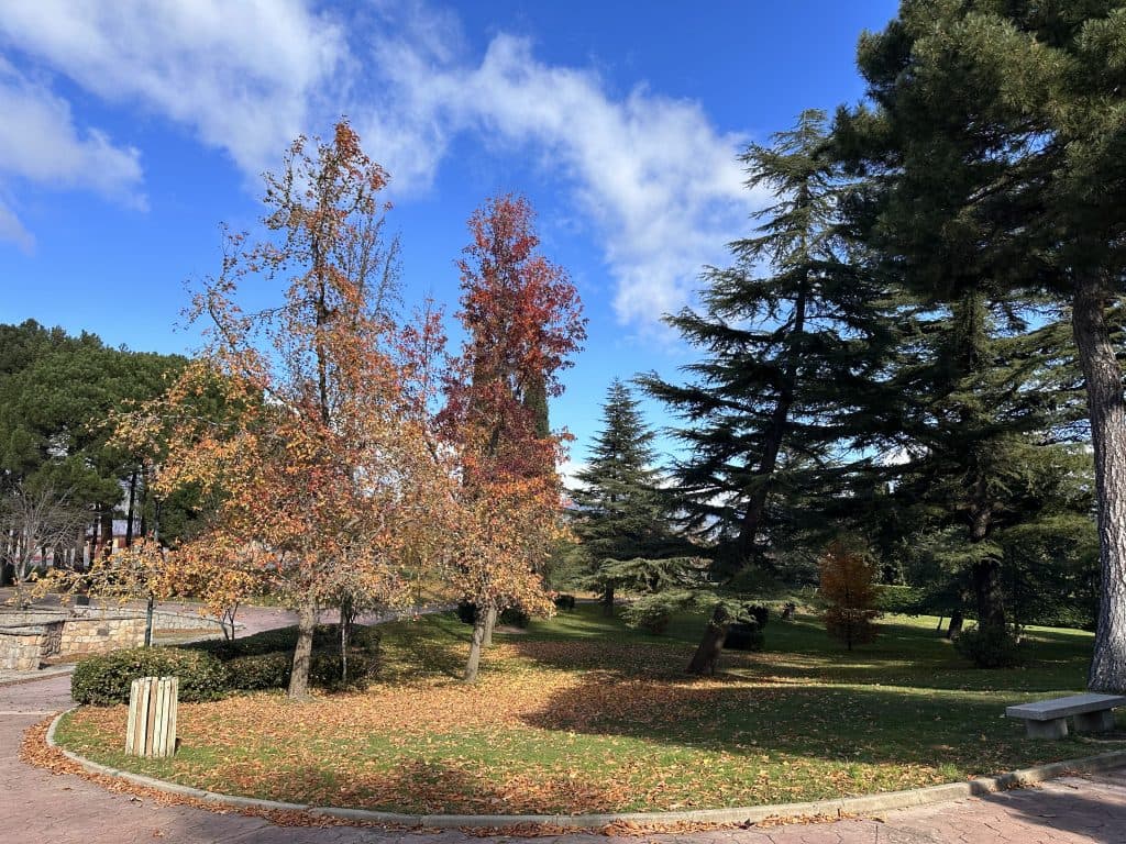 Jardín de la casa en otoño
