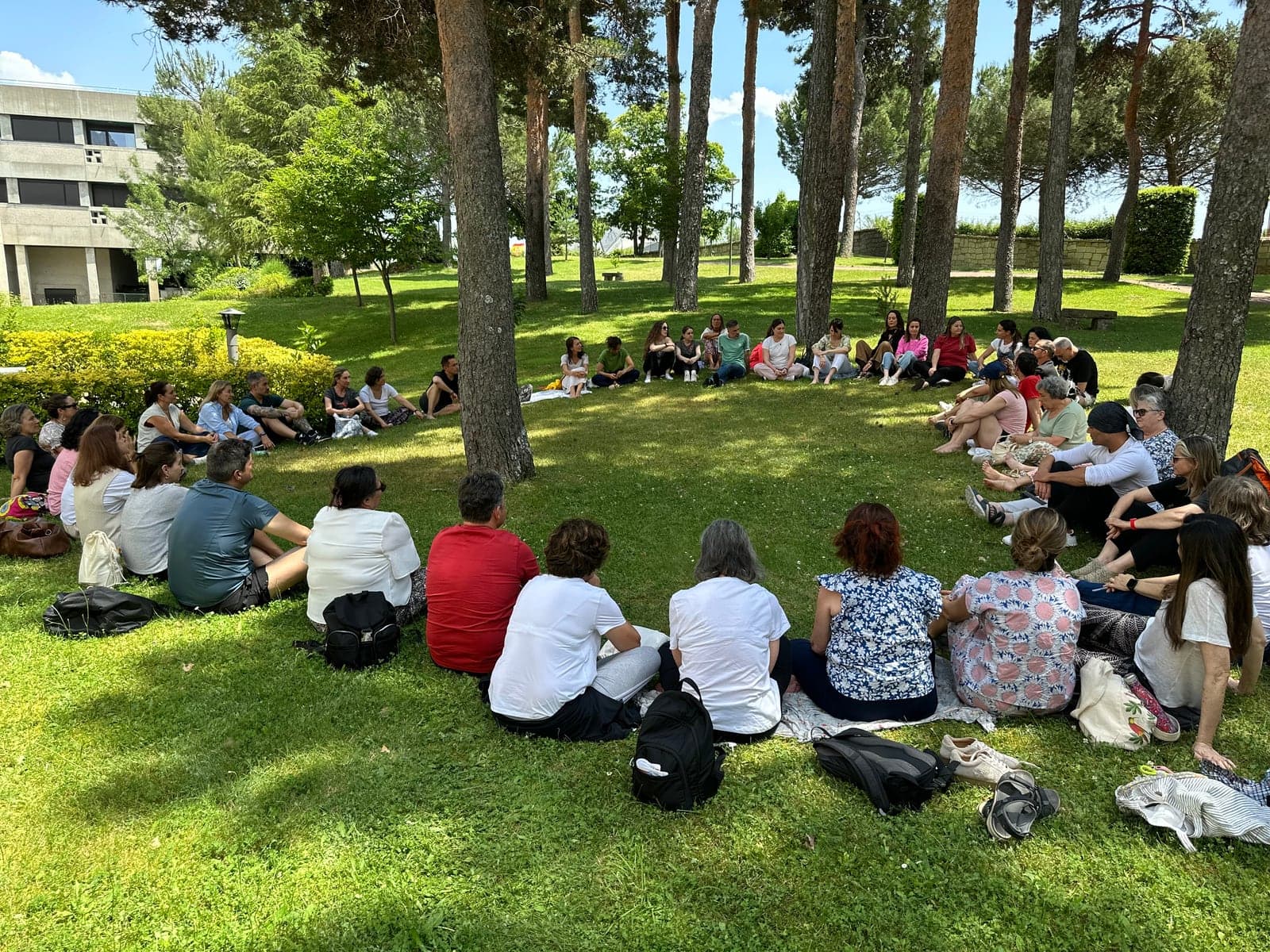 Un grupo sentado en círculo sobre la hierba, a la sombra de los pinos